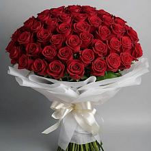 Букет 101 Красная роза Блэк Мэджик в Парауле