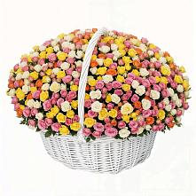 Премиум букет из: Розы в Парауле