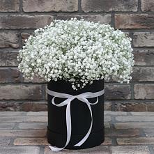 Цветочная композиция из Гипсофила в шляпной коробке #REPLACE_PRED# Парауле