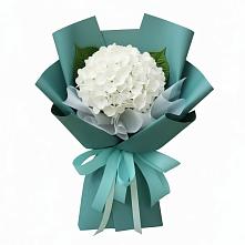 Букет цветов из:  Гортензия в Парауле